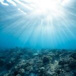 Los fondos oceánicos pueden tener una nueva esperanza con el material descubierto