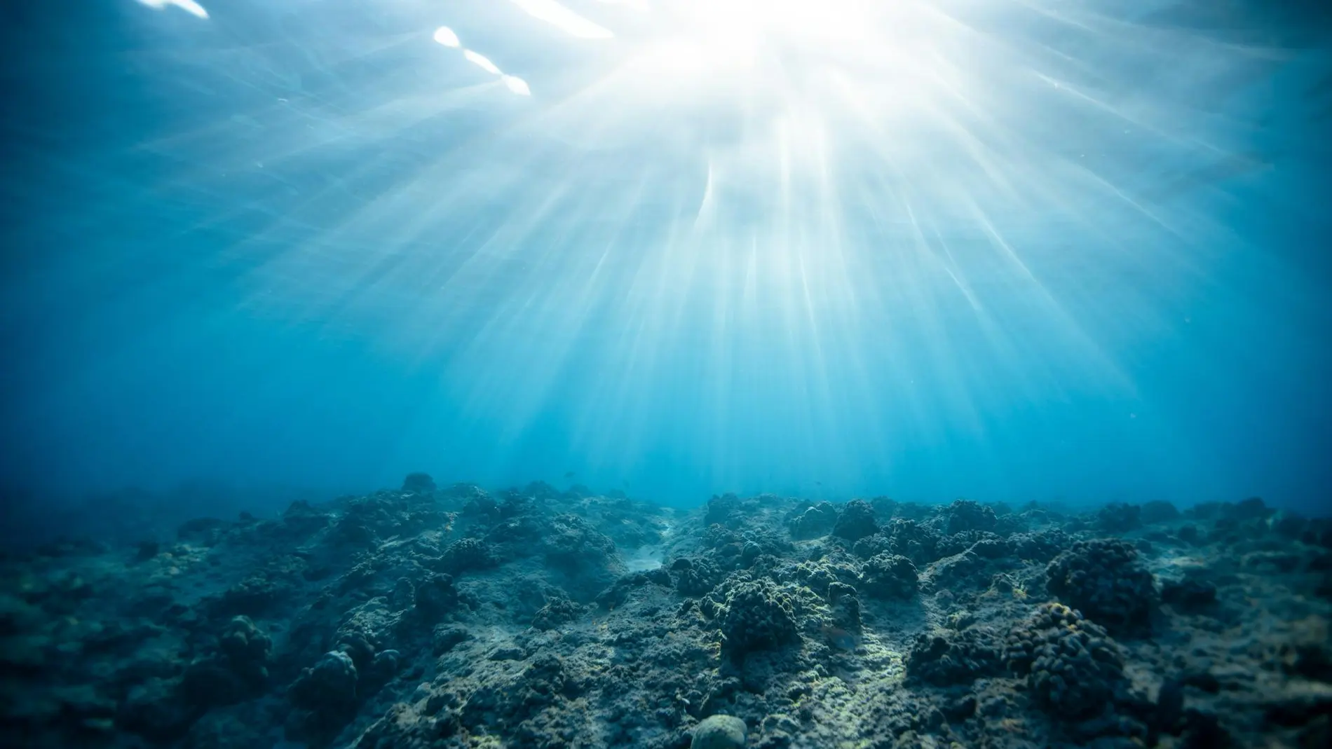 Los fondos oceánicos pueden tener una nueva esperanza con el material descubierto