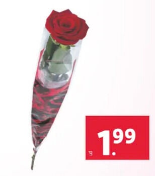 Ramo Flores Lidl