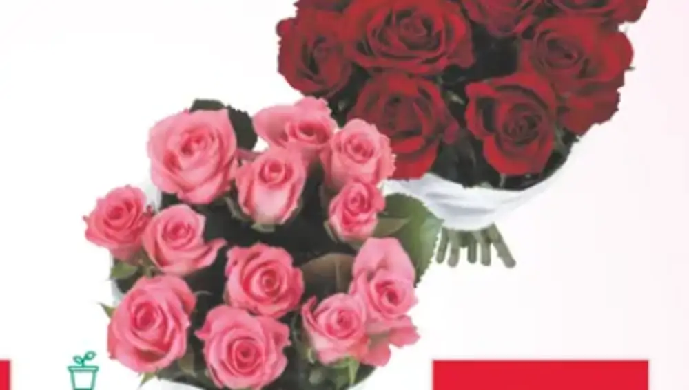 Ramo flores Lidl