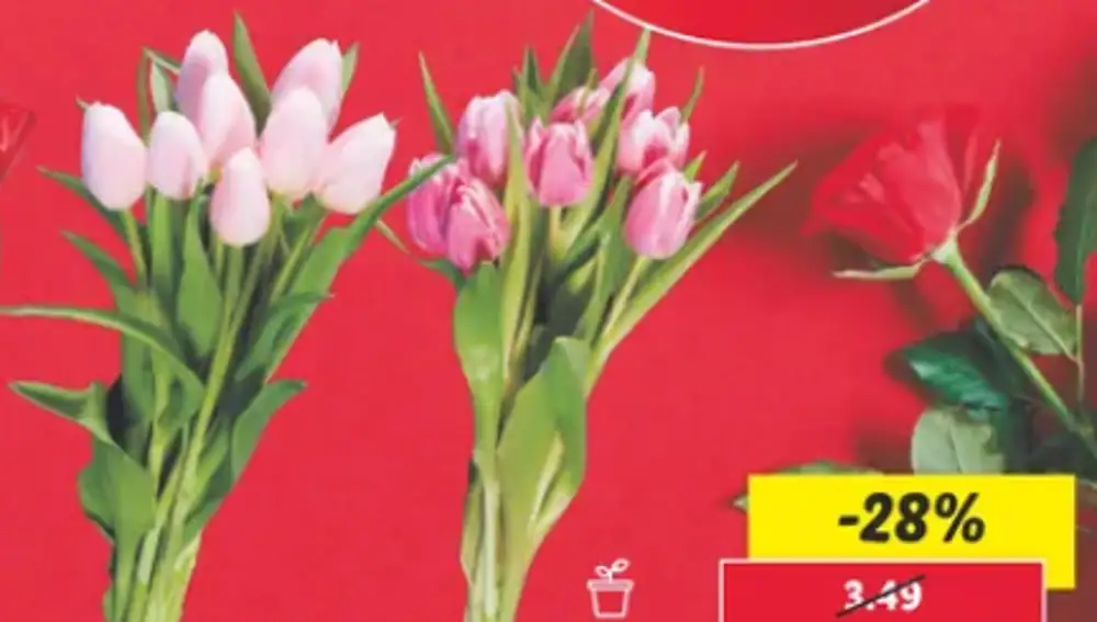 Ramo Flores Lidl