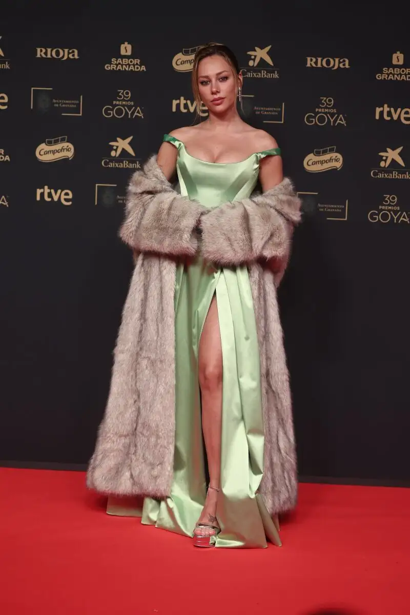 Alfombra roja de los Premios Goya 2025