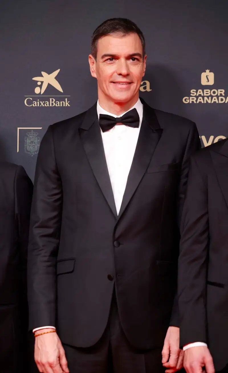 Pedro Sánchez en la gala de los Goya