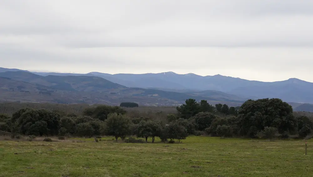El Zofreral de Cobrana (León) consigue el premio de Bosque del Año 2025 que por segundo año consecutivo se queda en el Bierzo