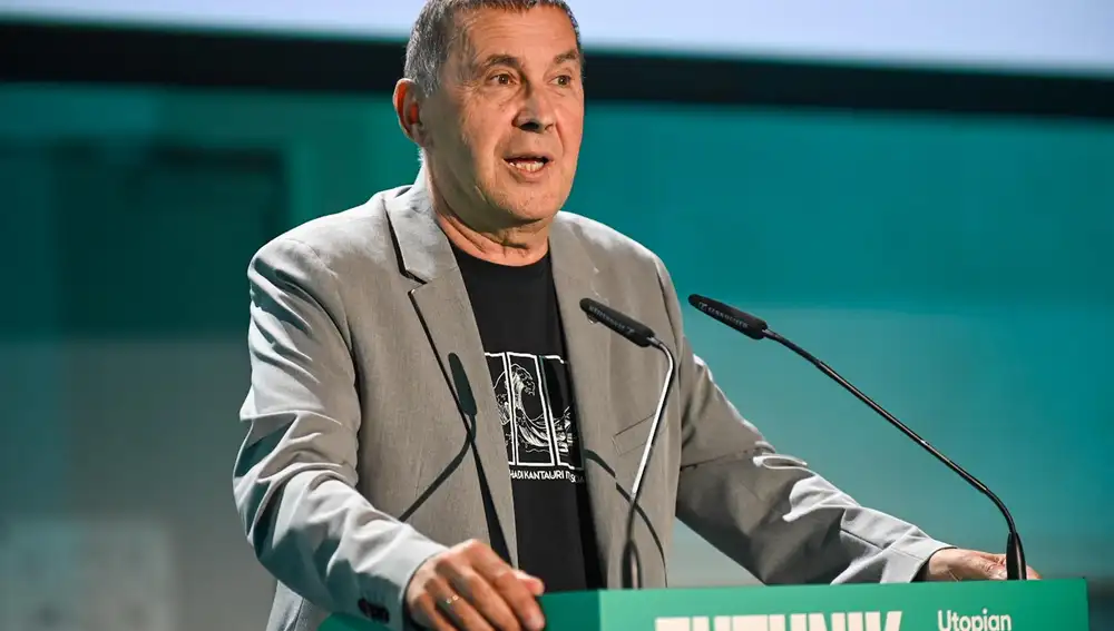 VÍDEO: Otegi cree que "listas nacionales" darán la oportunidad de "hablar como pueblo" y defender que Euskadi es nación