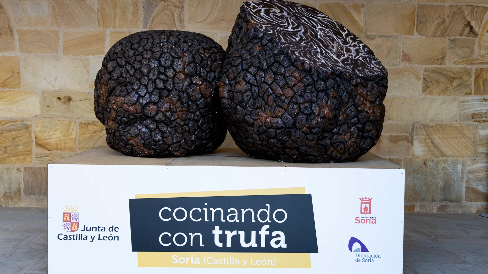 Soria: el epicentro de la gastronomía de la trufa con el V Concurso Cocinando con Trufa