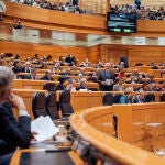 El Gobierno se enfrenta a la primera sesión de control en el Senado del 2025