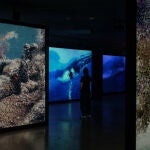 Fotografía de la exposición Ecos del océano