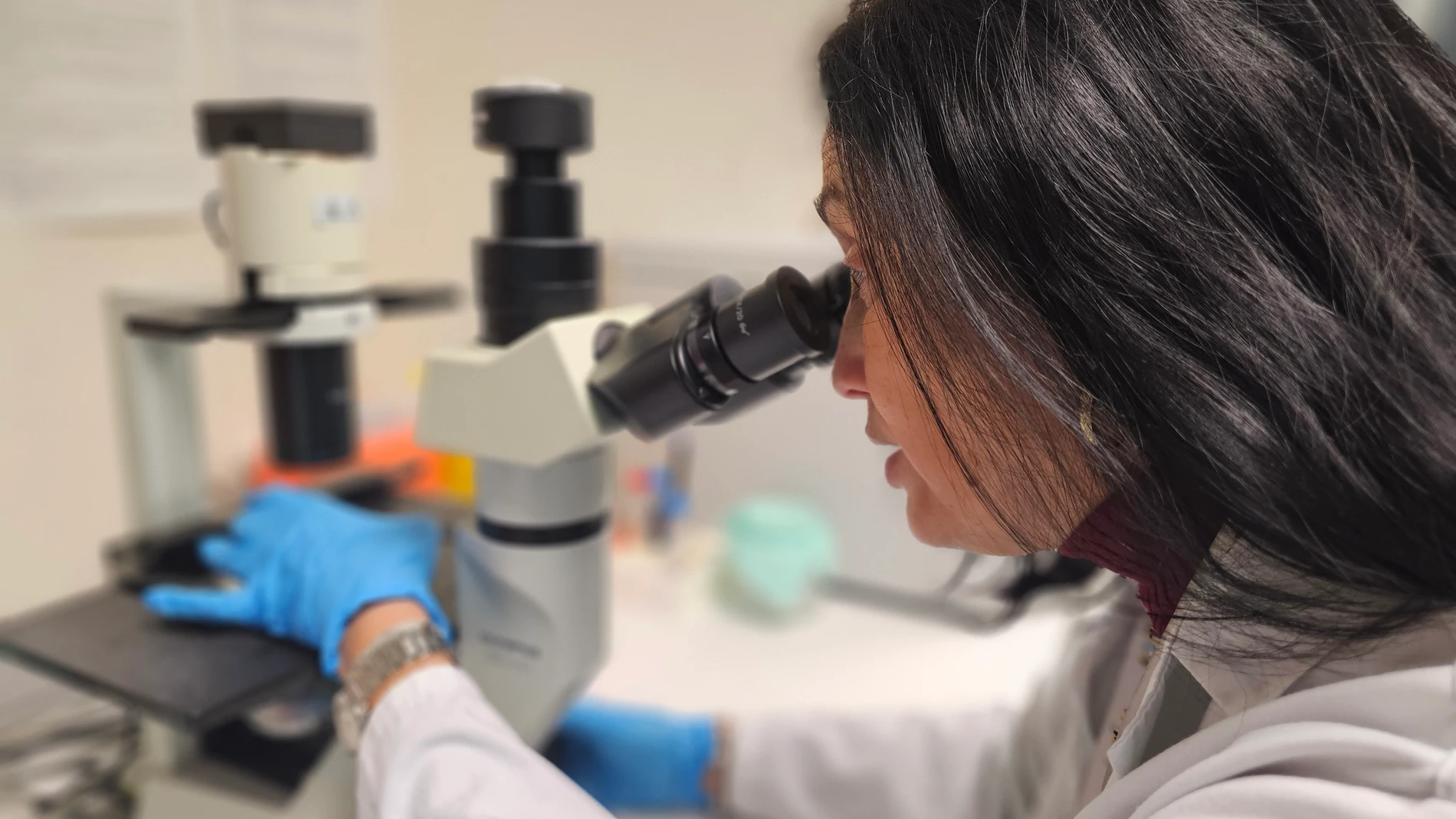 Esther Gallardo, investigadora principal del proyecto