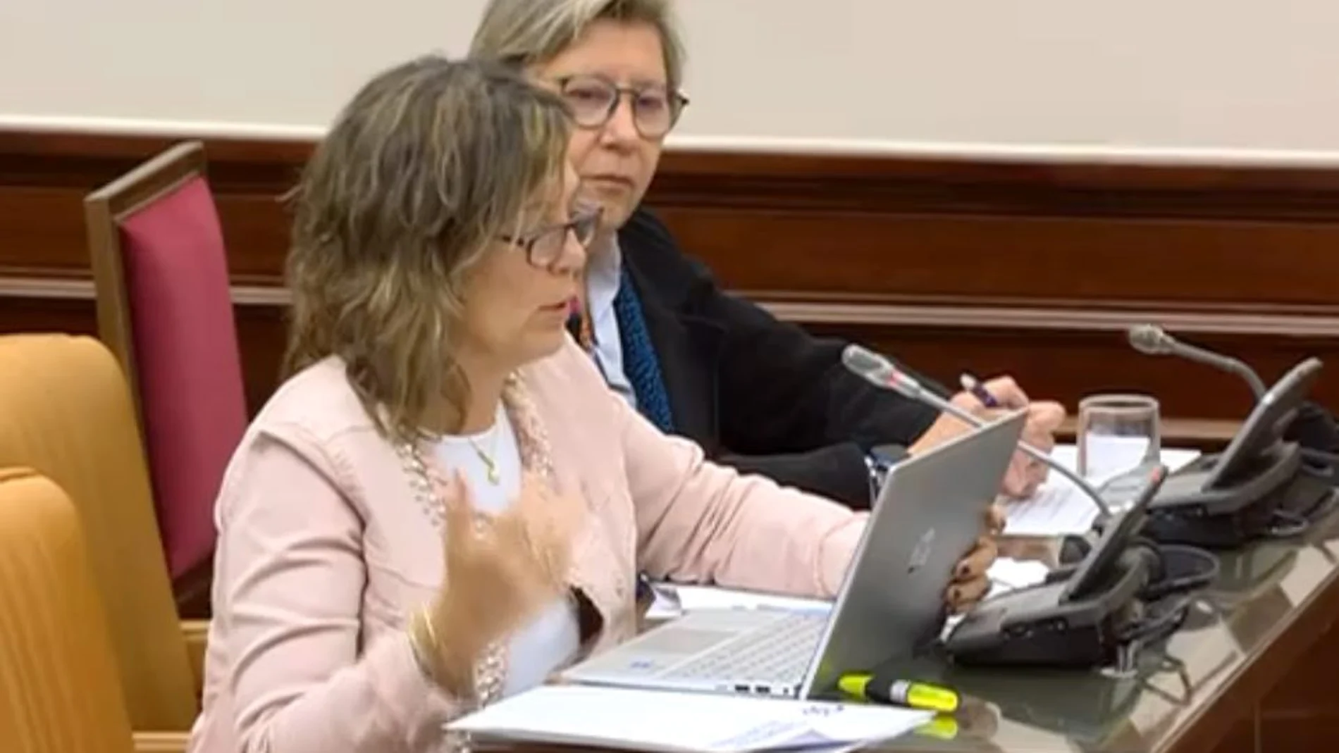 La portavoz del Grupo Popular en la Comisión Mixta de la UE, Milagros Marcos, durante su intervención