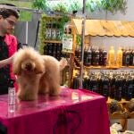La Feria Internacional para el Profesional del Animal de Compañía se celebra en Ifema Madrid del 26 al 28 de febrero