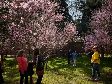 Quinta de los Molinos Quinta de los Molinos