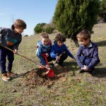 La Asociación de Madres y Padres de Alumnos (AMPA) del CEIP María Teresa Íñigo de Toro realiza una plantación para pedir la mejora del entorno escolar del centro, tras la recogida de firmas realizada durante la semana