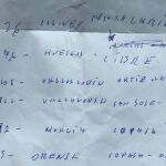 Manuscrito Koldo