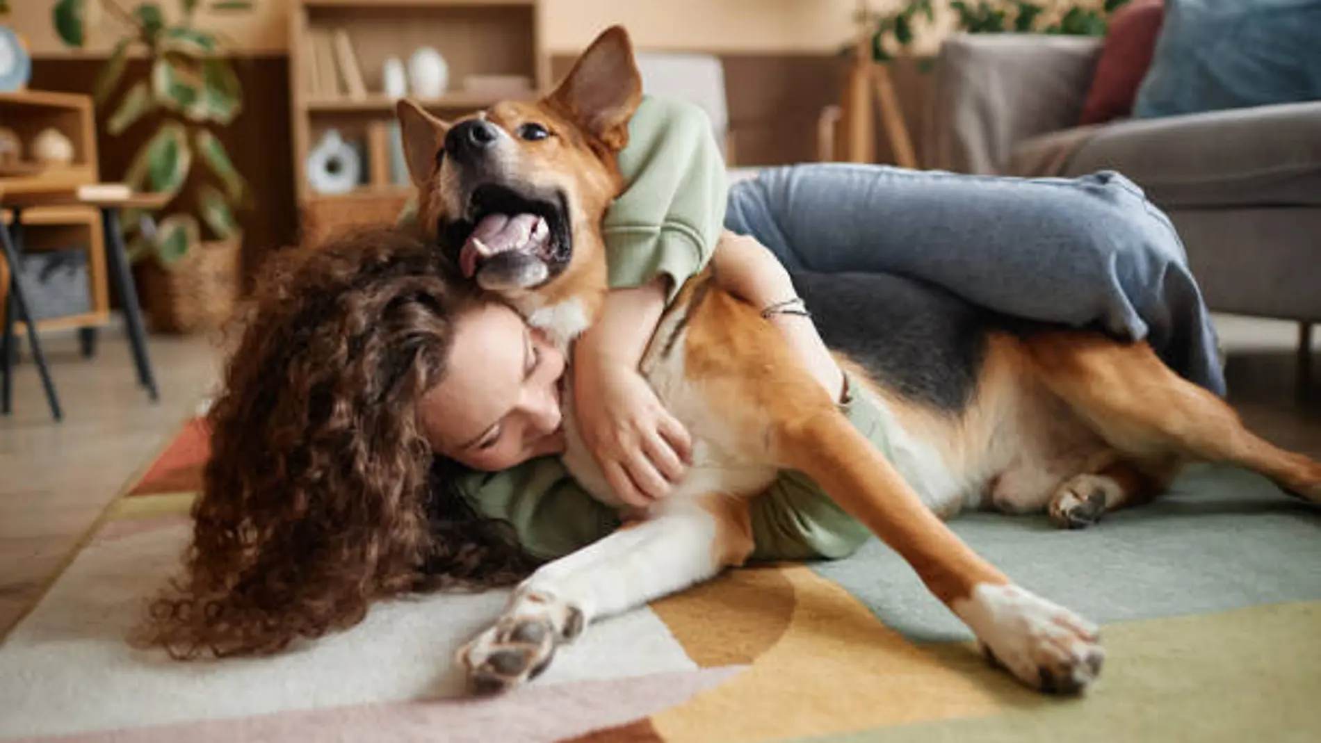 Un perro jugando con su dueña