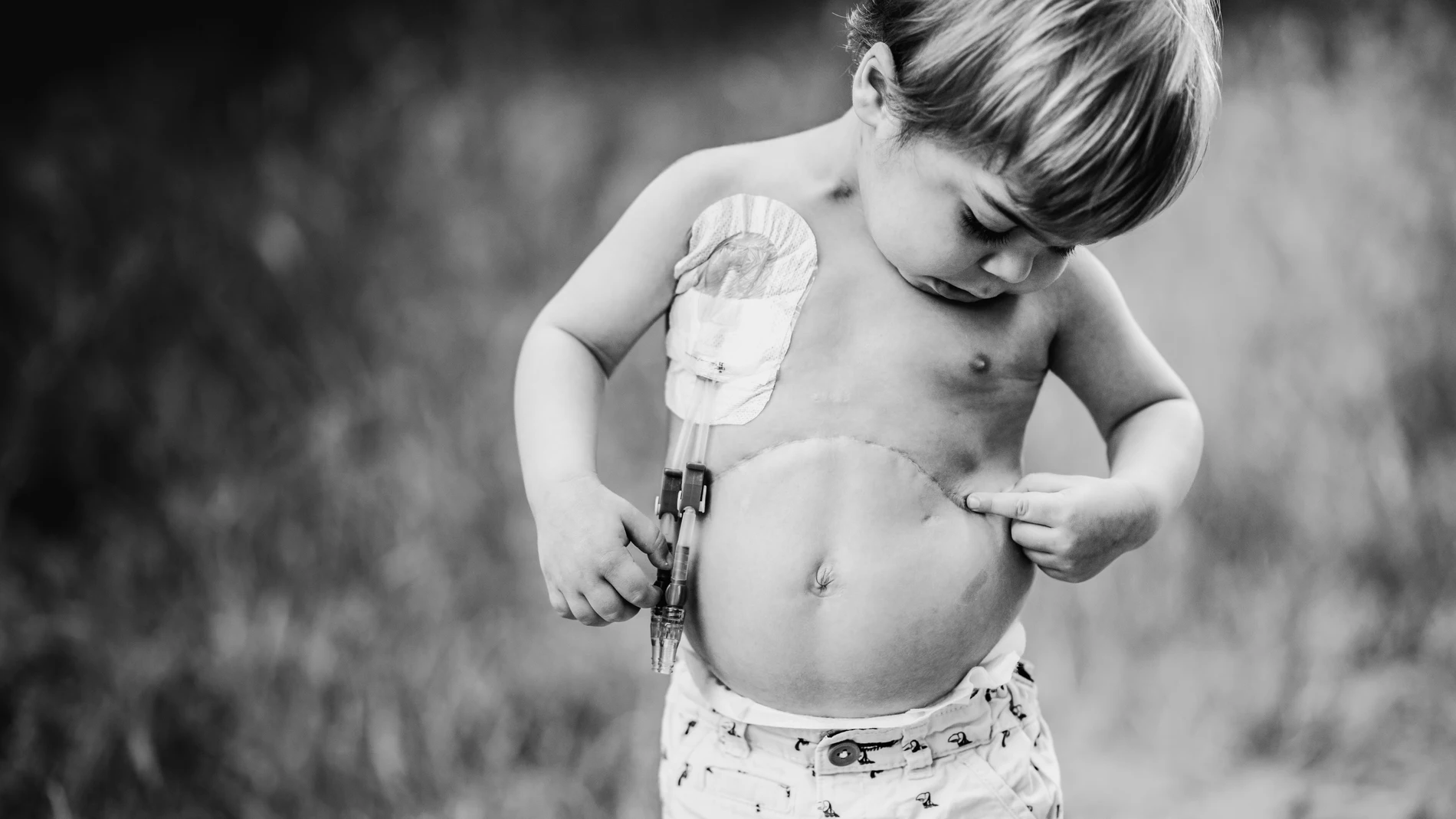 La imagen ganadora de la última edición del concurso fotográfico, obra de Inma Ríos, a favor de la Fundación Ana Carolina Díez Mahou