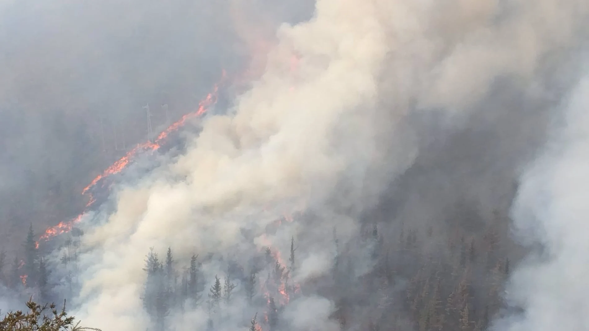 Incendios.- Cantabria tiene cinco incendios forestales activos en Vega de Pas y Riomiera