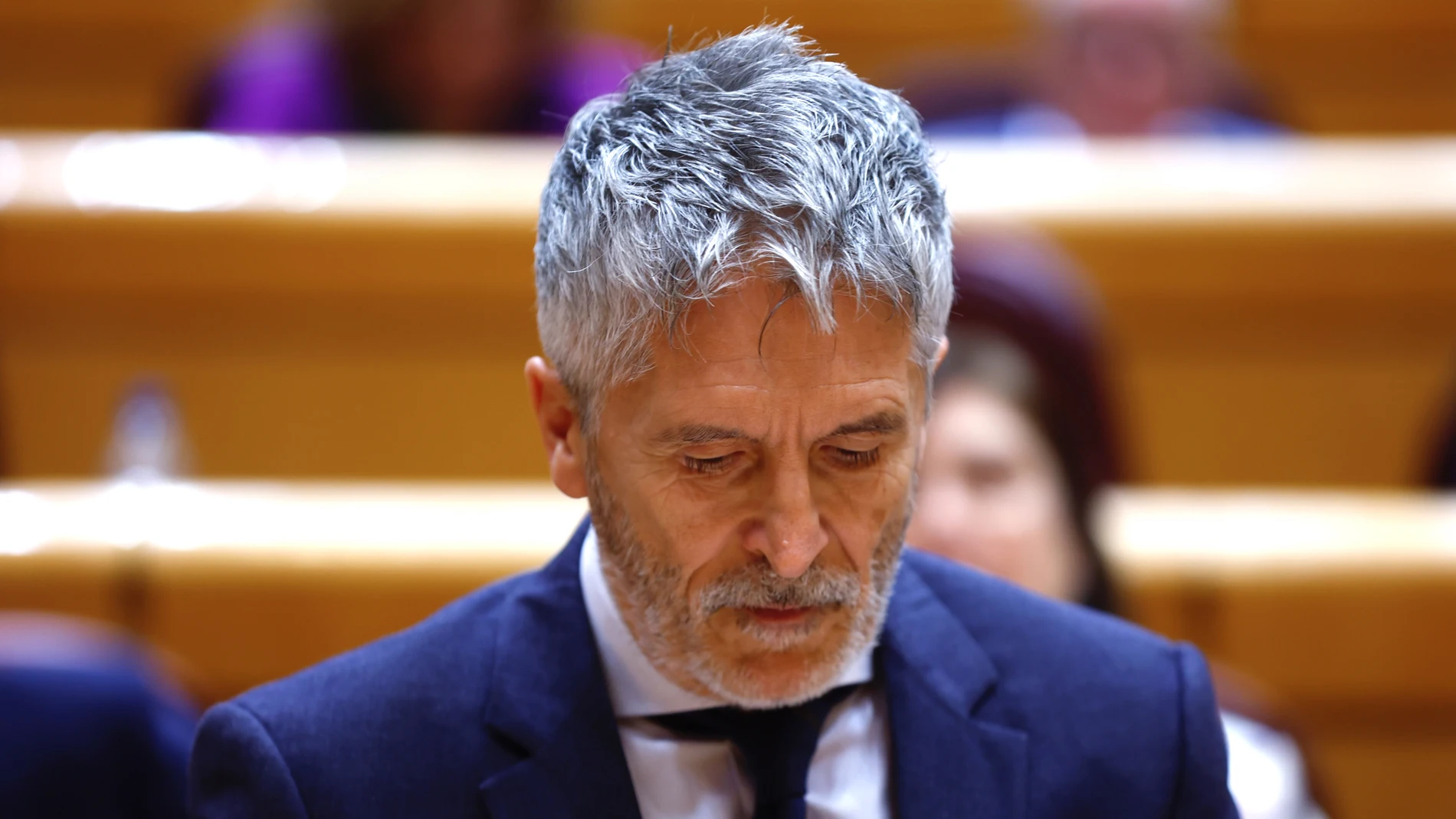 El ministro del Interior, Fernando Grande-Marlaska