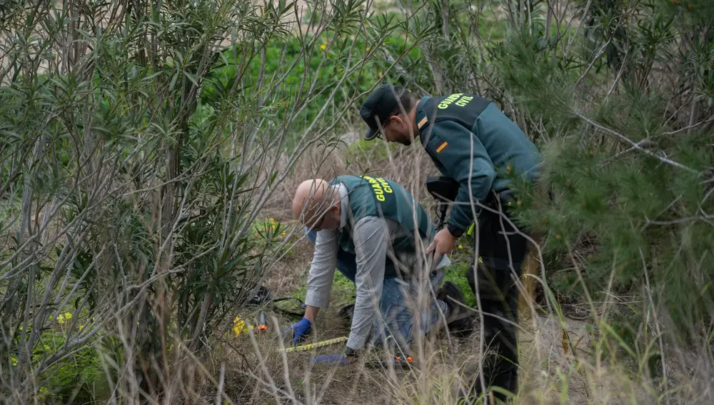 Hallan muerto de un tiro al exalcalde de Gandia (Valencia) Arturo Torró