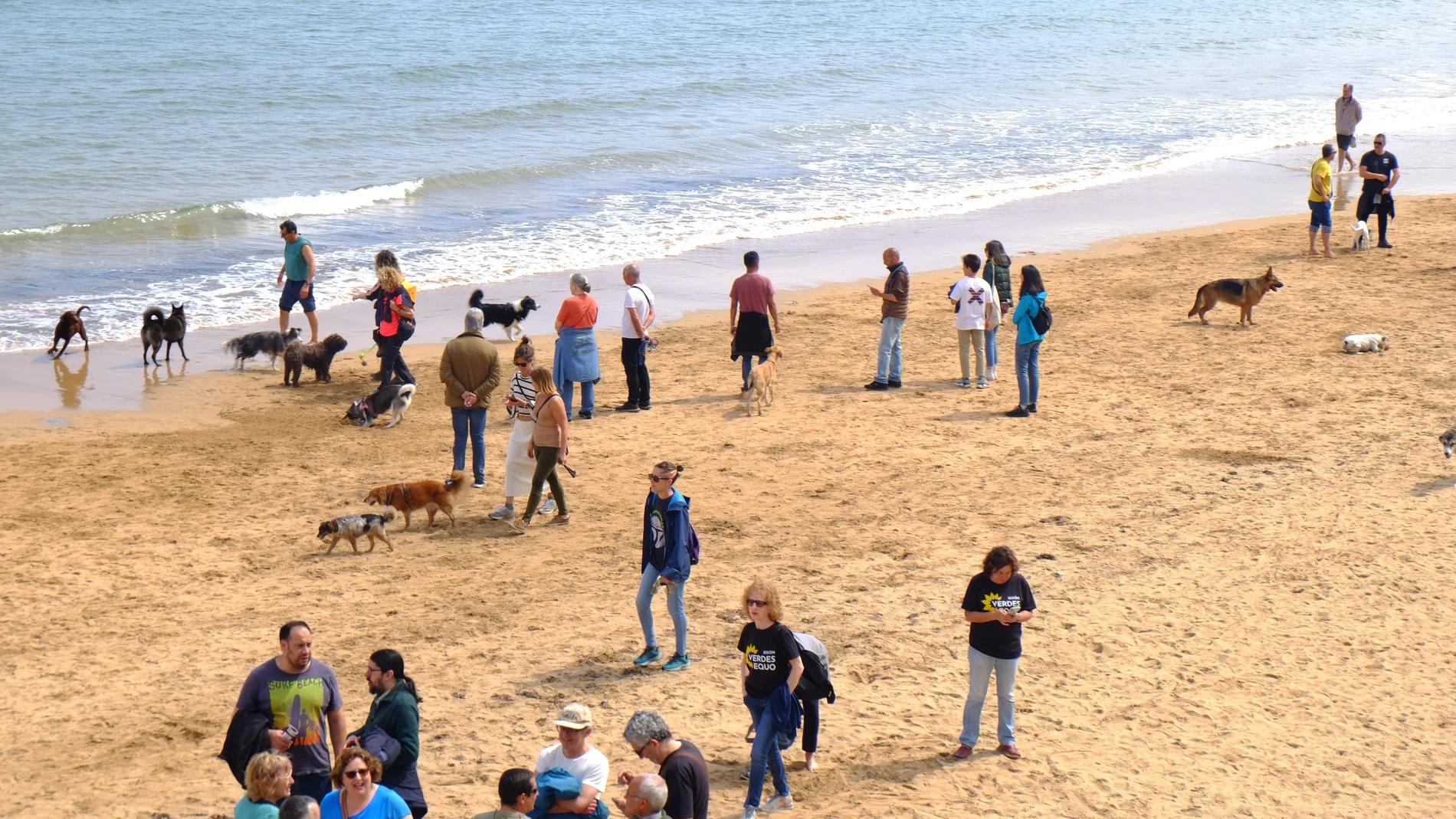 Perros disfrutando de la playa en Gijón