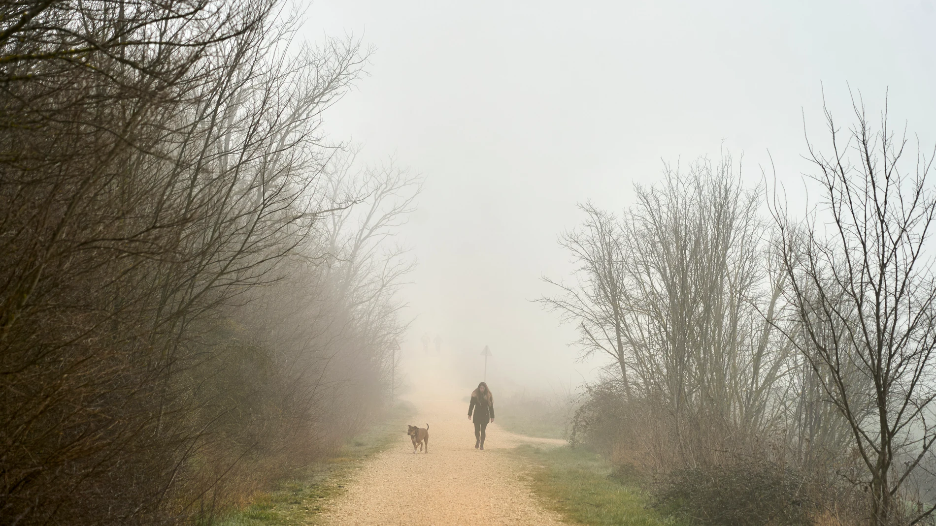 VITORIA (ESPAÑA), 23/02/2025.- Una mujer comina con su perro por el anillo verde de la ciudad envuelto en niebla este domingo cuando la Aemet pronostica intervalos nubosos, con nubes bajas acompañadas de nieblas matinales en el interior, que disminuirán a poco nuboso en las horas centrales aumentando de nuevo a nuboso y cubierto de nubes altas al final. Temperaturas mínimas con cambios ligeros predominando los descensos. EFE / L. Rico