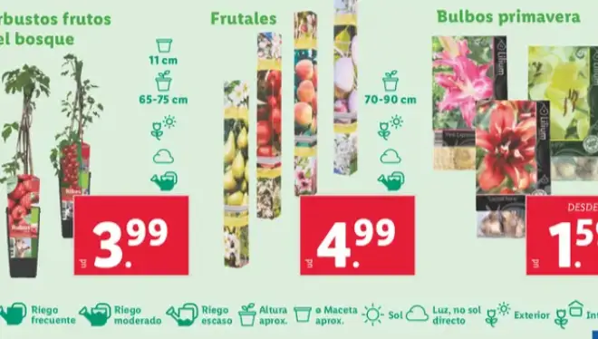 Arboles Frutales Lidl
