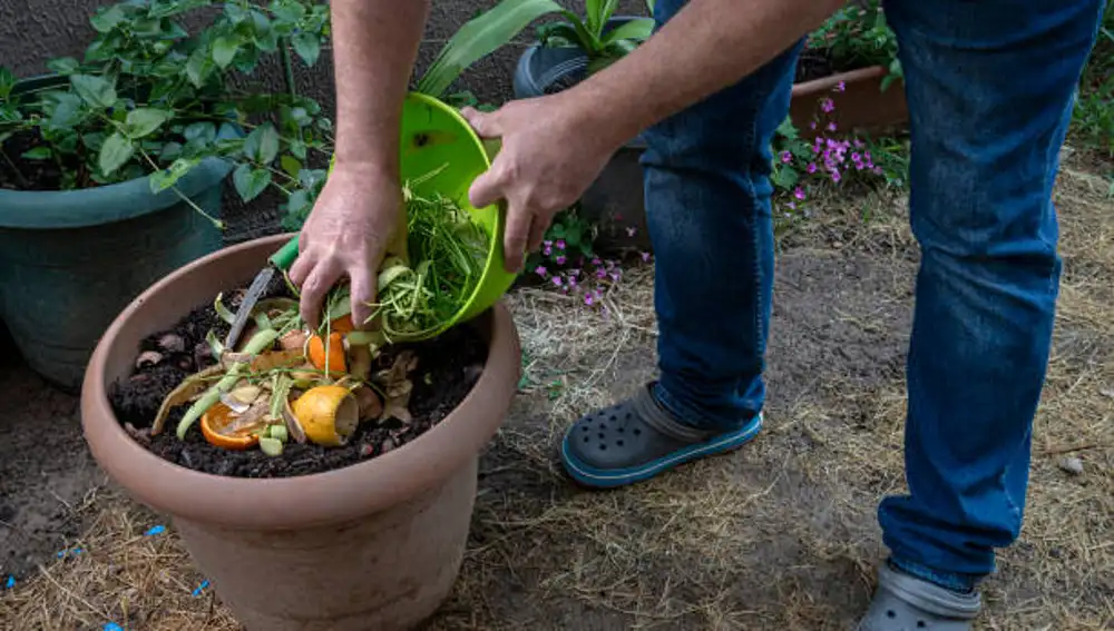 Fertilizante para plantas