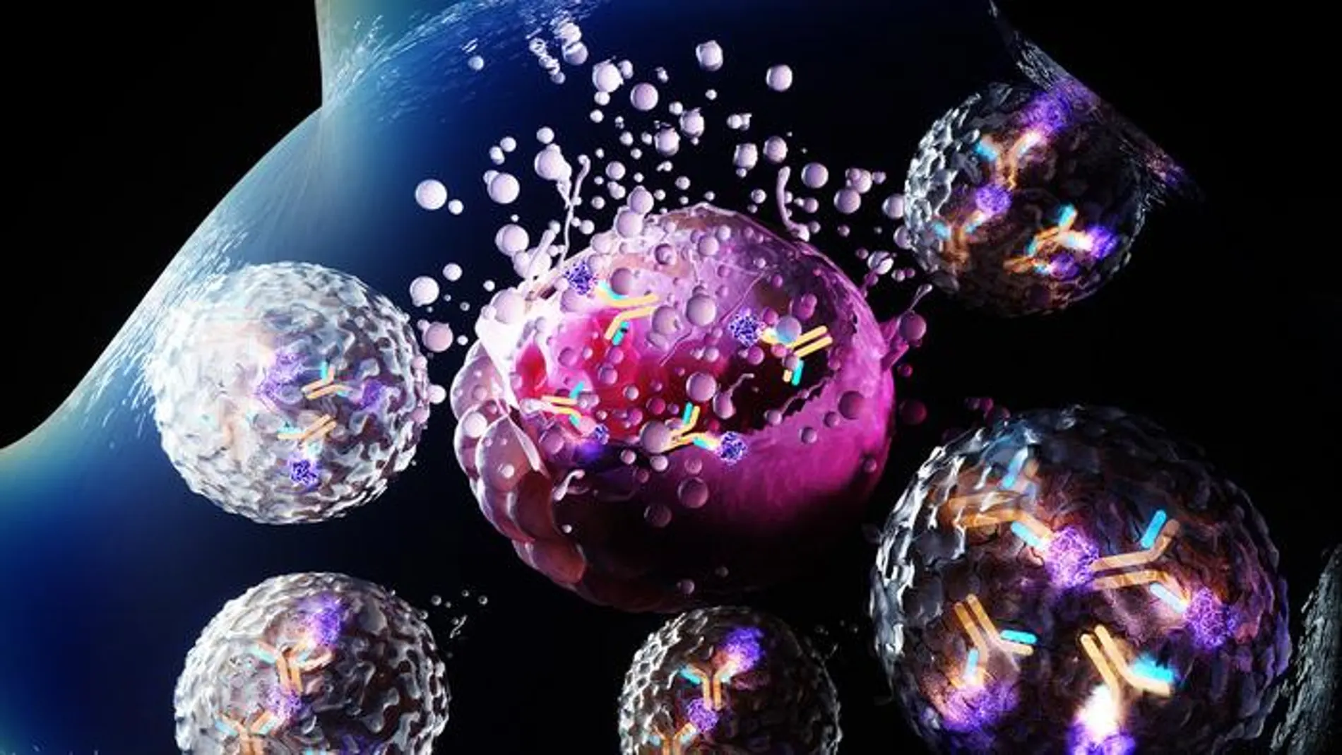 Representación en 3D de un conjugado anticuerpo-toxina que ataca una célula cancerosa