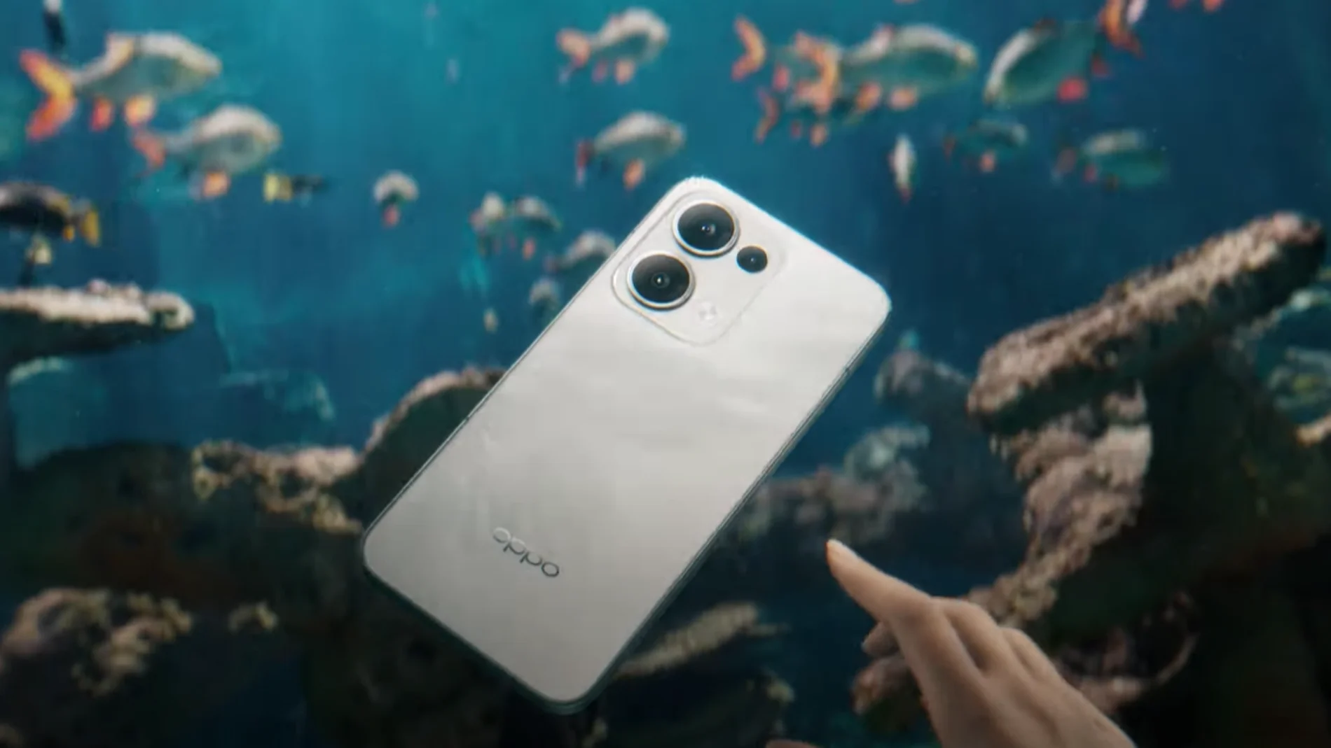 Oppo13