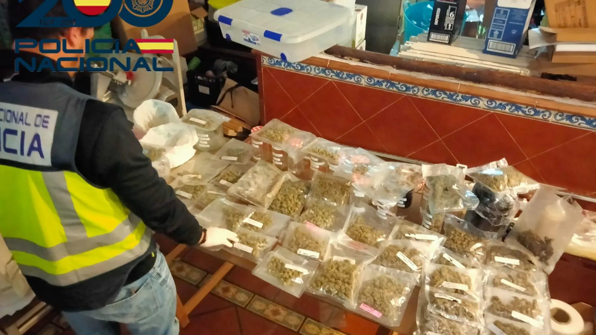 Las sustancias intervenidas en la operación