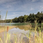 Antigua Laguna de Antela. 