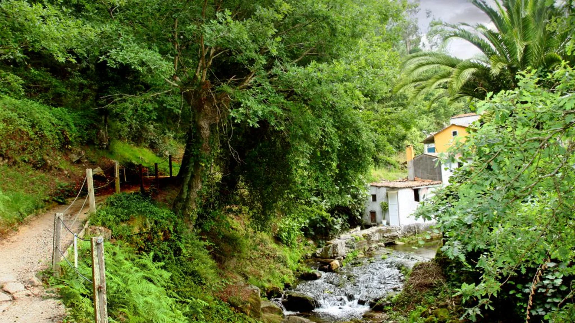 Así es el paraíso natural oculto en Santiago de Compostela