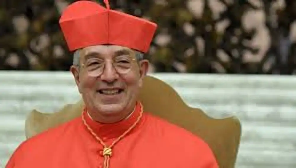 Cardenal Angelo De Donatis