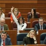 Bancada del PP en las Cortes con el presidente Mañueco, Isabel Blanco, González Gago o Gavilanes, entre otros, durante una de las votaciones del día en el hemiciclo