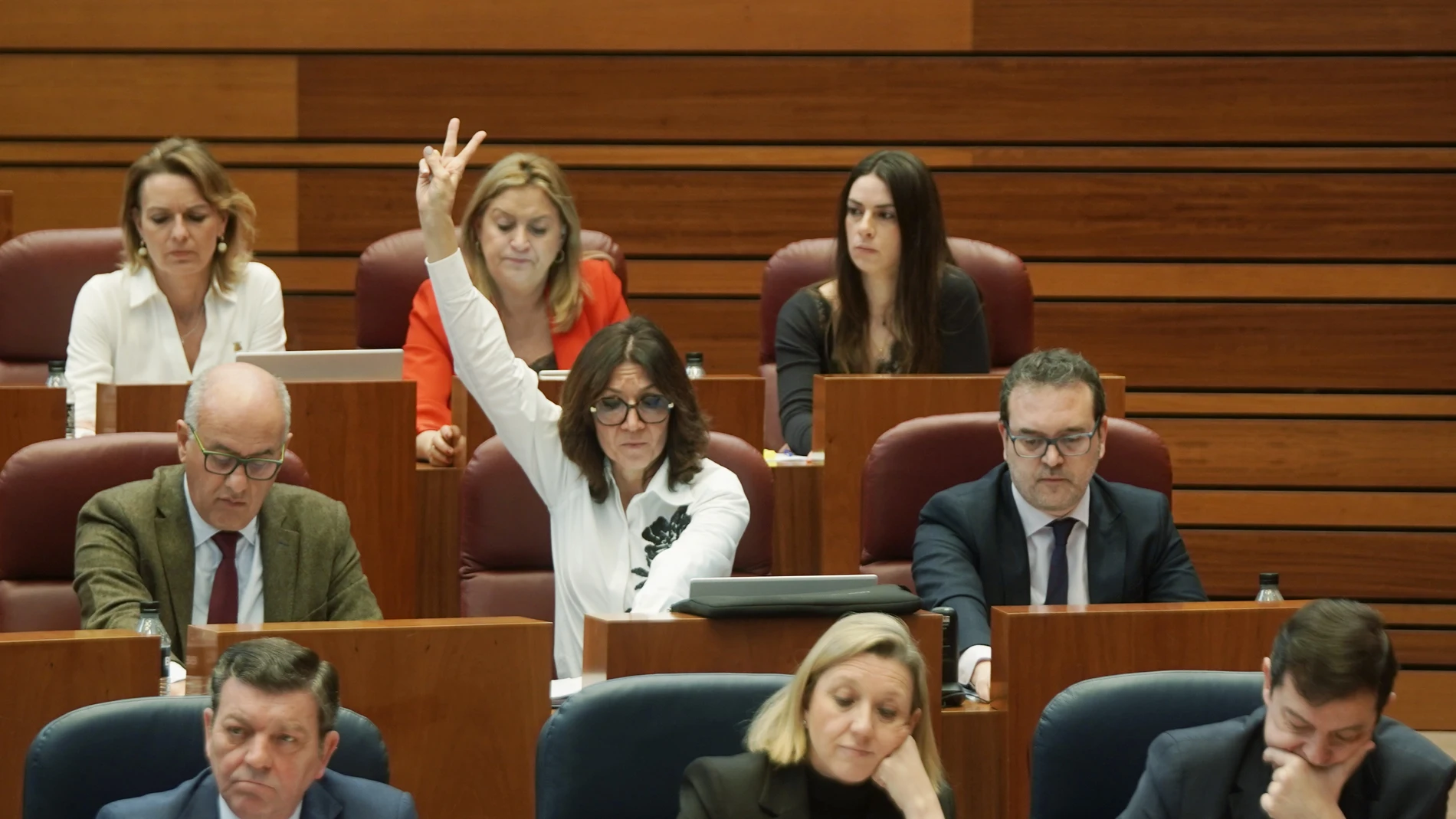 Bancada del PP en las Cortes con el presidente Mañueco, Isabel Blanco, González Gago o Gavilanes, entre otros, durante una de las votaciones del día en el hemiciclo