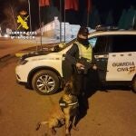 Guardia Civil establece un dispositivo especial para los Carnavales de La Bañeza (León) del 28 de febrero al 8 de marzo