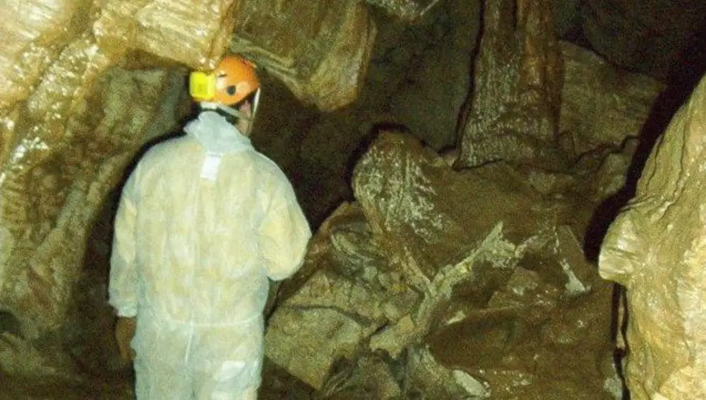 Visita al interior de la Cueva del Rei Cintolo.