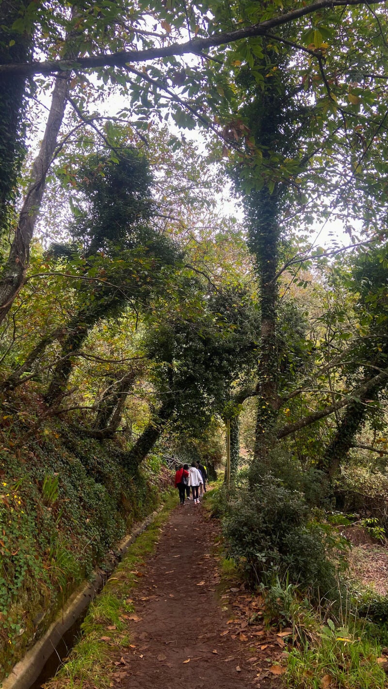 Levadas, Madeira