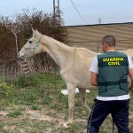 La Guardia Civil durante la intervención