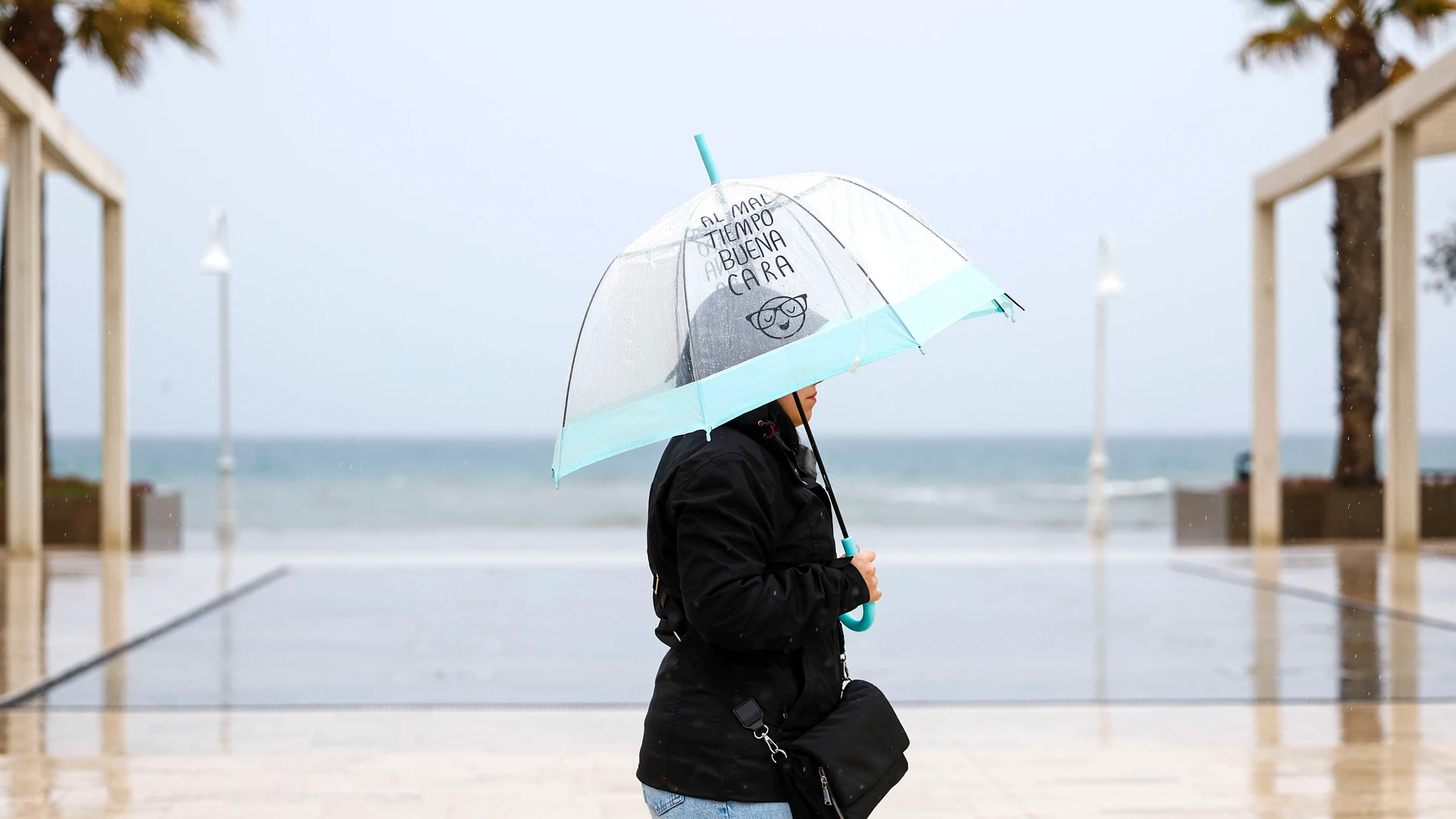 FOTODELDÍA RINCÓN DE LA VICTORIA (ANDALUCÍA), 28/02/2025.- Un mujer se protege de la lluvia con su paraguas, este viernes, en el Rincón de la Victoria (Málaga). La Dirección General de Protección Civil y Emergencias alerta a la población de chubascos intensos especialmente en el sur y el Mediterráneo en las próximas horas y la llegada de una masa de aire polar que dejará nevadas el fin de semana, especialmente en el norte, en cotas de hasta 700 metros.EFE/ Jorge Zapata