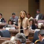 La consejera de Empresa, Empleo y Economía Social, Marisa López Aragón, durante su intervención de hoy en la Asamblea Regional
