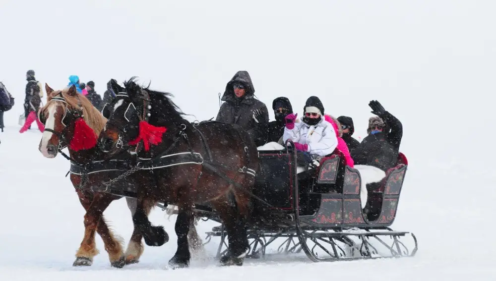 Trineo de caballos en Baqueira Beret