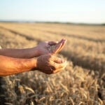 La producción de agrocommodities está muy concentrada
