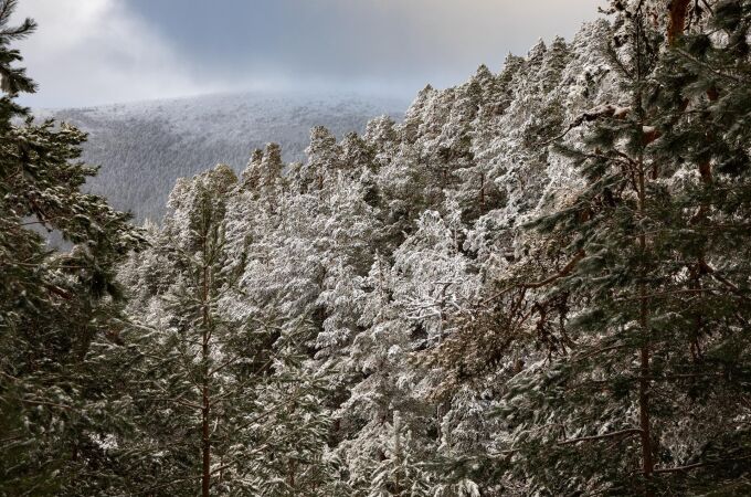 MADRID.-Aviso amarillo por nevadas en la Sierra este domingo MADRID.-Aviso amarillo por nevadas en la Sierra este domingo