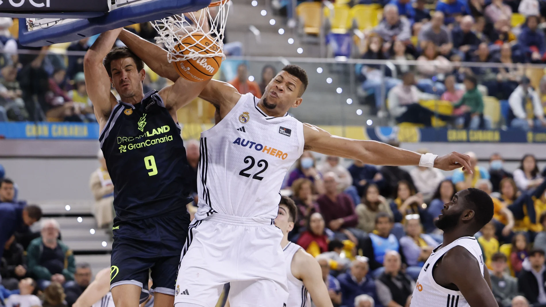 Tavares y Brussino, en el partido de este domingo en Gran Canaria