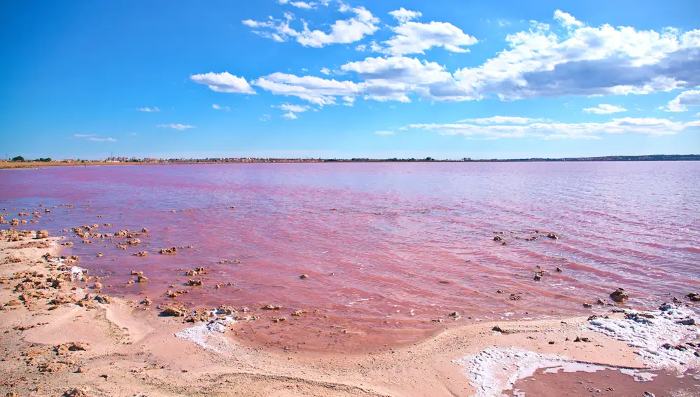Las Lagunas de Mata y Torrevieja (Alicante)