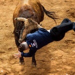 Momentoen el que toro cornea de gravedad a uno de los mozos durante la capea