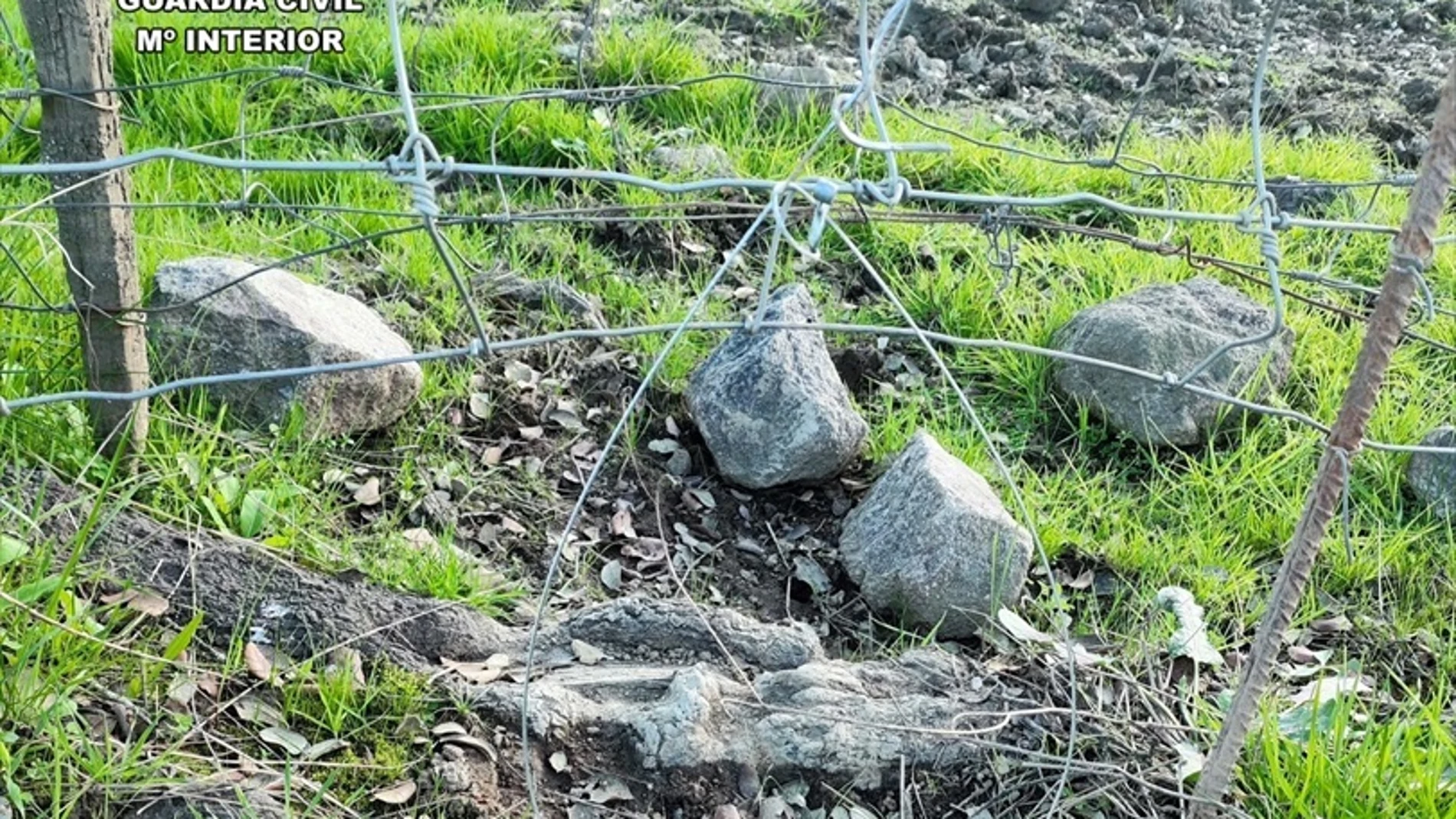 Investigan a un antiguo guardia de un coto en Constantina por cazar cuatro zorros con trampas prohibidas