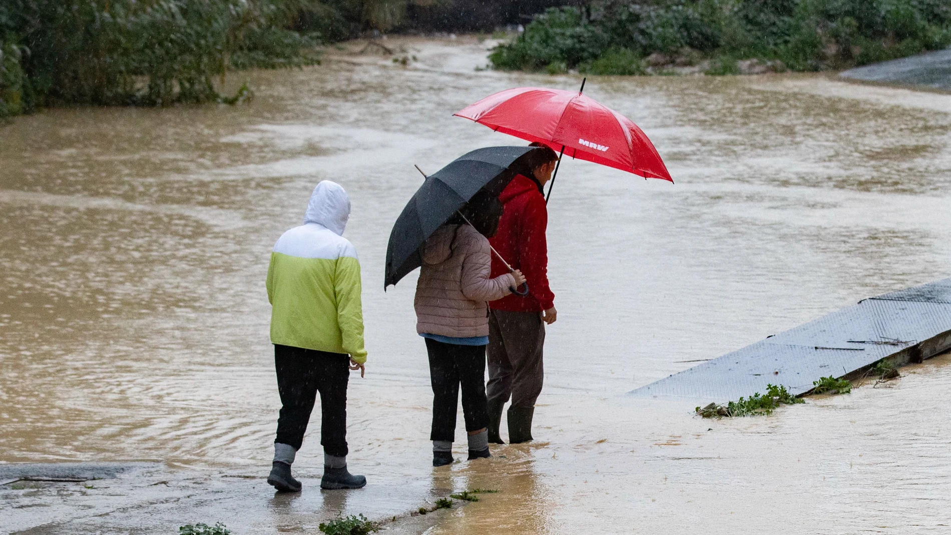 MURCIA, 05/03/2025.- Varias personas intentan cruzar el cauce de la Rambla del Garruchal inundado a causa de la intensas lluvias caídas este miércoles, en las últimas horas en la pedanía murciana de Beniajan. EFE/ Marcial Guillén