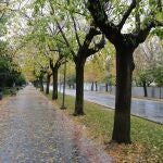 Vuelven las lluvias a Castilla y León